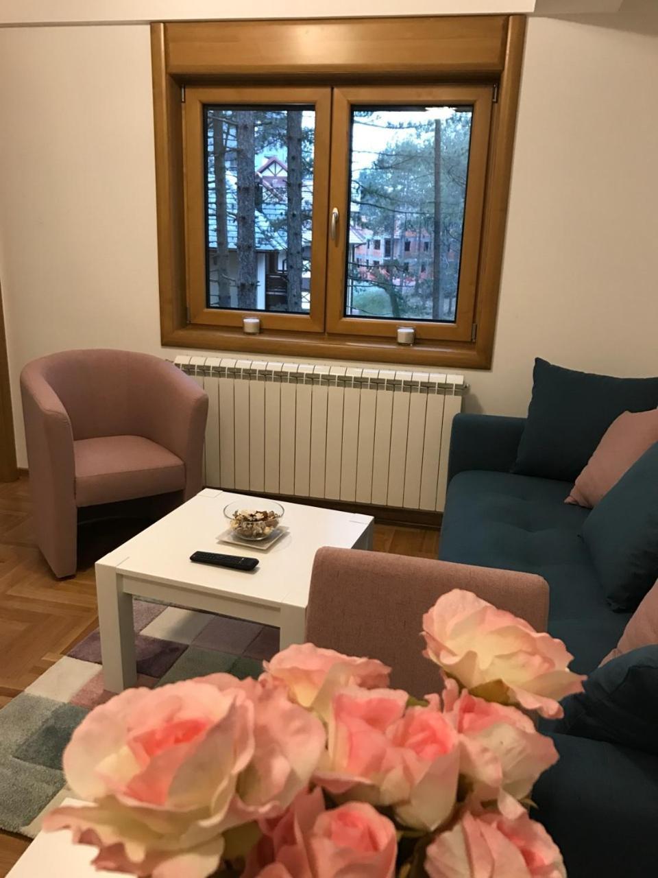 Zlatibor Apartmani Jakovljevic ภายนอก รูปภาพ
