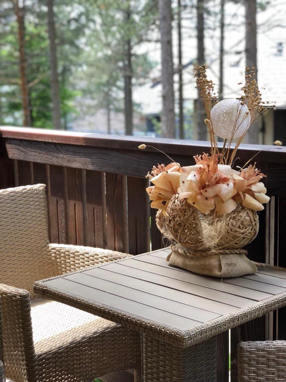 Zlatibor Apartmani Jakovljevic ภายนอก รูปภาพ