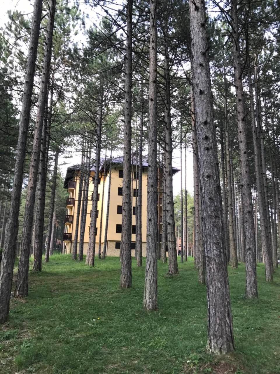 Zlatibor Apartmani Jakovljevic ภายนอก รูปภาพ
